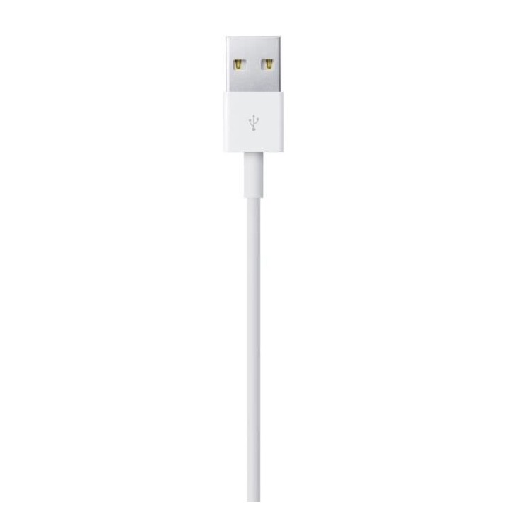 Apple Câble Lightning vers USB (0,5 m)