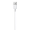 Apple Câble Lightning vers USB (0,5 m)