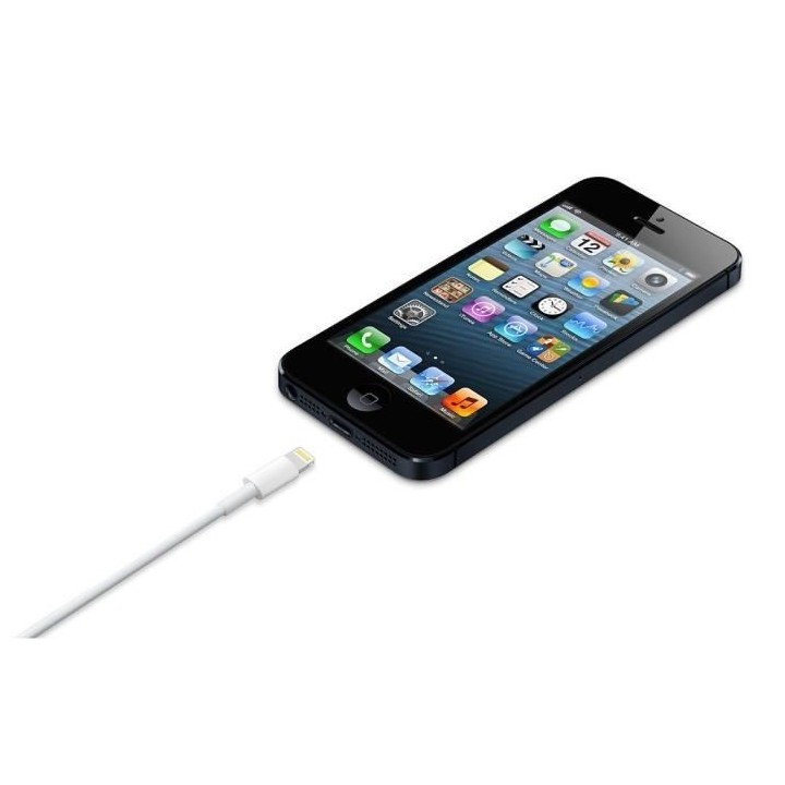 Apple Câble Lightning vers USB (0,5 m)