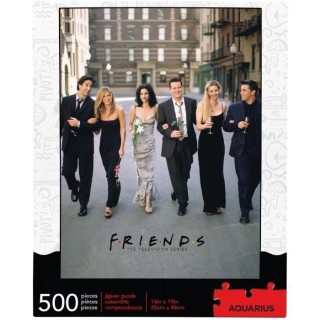 AQUARIUS Puzzle 500 pieces Friends Wedding - 62172