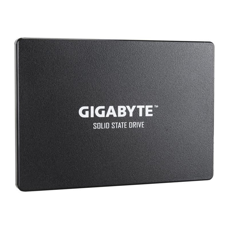 GIGABYTE - Disque SSD Interne - 256Go - 2,5 (GP-GSTFS31256GTND)