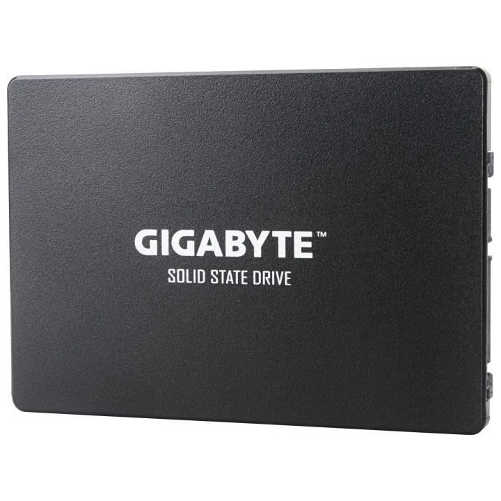 GIGABYTE - Disque SSD Interne - 256Go - 2,5 (GP-GSTFS31256GTND)