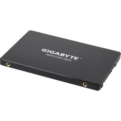 GIGABYTE - Disque SSD Interne - 256Go - 2,5 (GP-GSTFS31256GTND)