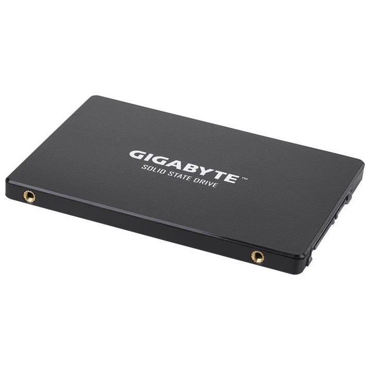 GIGABYTE - Disque SSD Interne - 256Go - 2,5 (GP-GSTFS31256GTND)