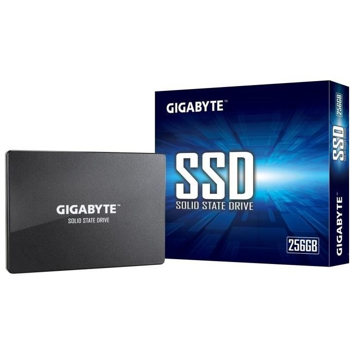 GIGABYTE - Disque SSD Interne - 256Go - 2,5 (GP-GSTFS31256GTND)