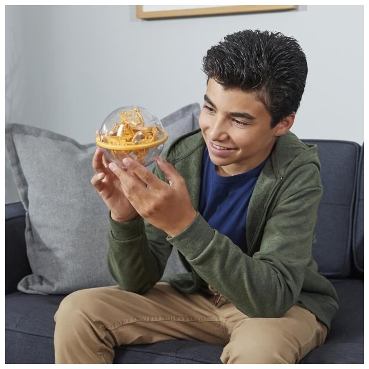 PERPLEXUS - Harry Potter version Vif d'Or - 6062275 - Labyrinthe 3D co