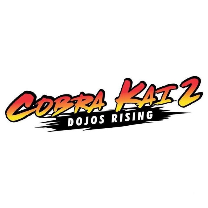 Cobra Kai 2 Dojos rising Jeu PS4