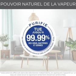 CALOR DT3053C0 Défroisseur vapeur, 1300 W, Débit vapeur 20 g/min, Chauffe en 15 sec, Tous types de tissus, Access Steam Pocket