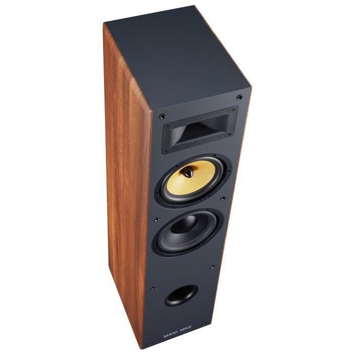 DAVIS ACOUSTICS MANI MK2 - Enceinte colonne - 150W - 3 hauts-parleurs