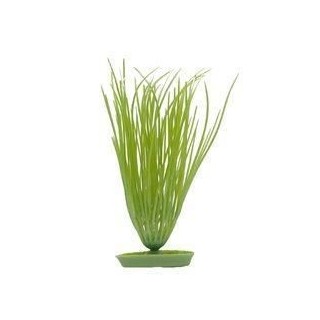 AQUA Plantes artificielles Marina Hairgrass 12,5 cm - Plastiques - Ver