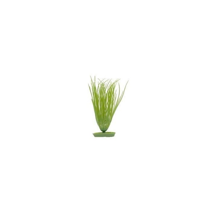 AQUA Plantes artificielles Marina Hairgrass 12,5 cm - Plastiques - Ver