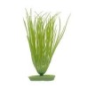 AQUA Plantes artificielles Marina Hairgrass 12,5 cm - Plastiques - Vertes - Pour aquarium