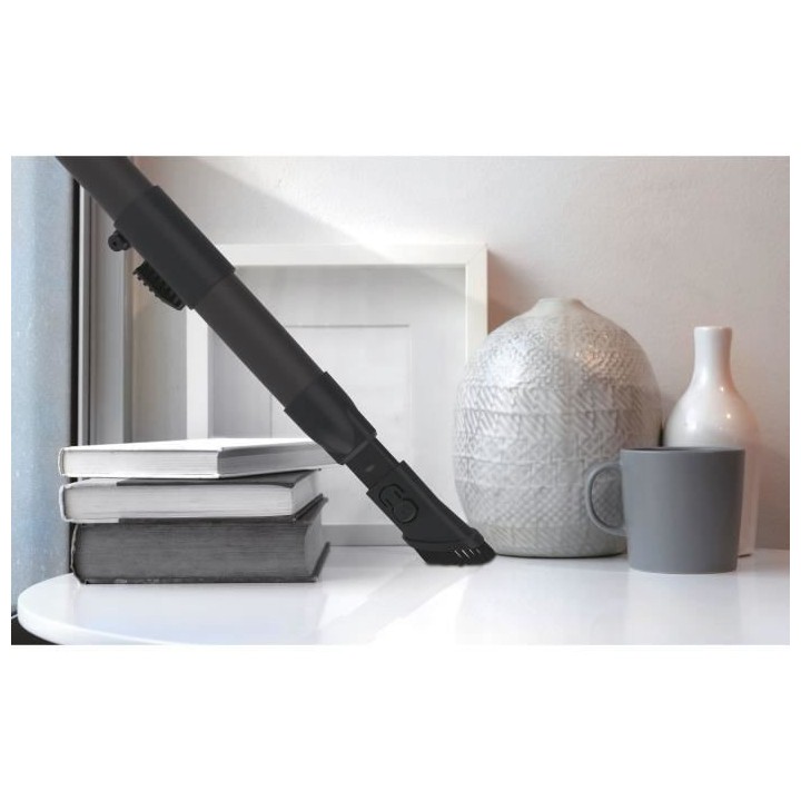 HOOVER HP310HM Aspirateur traîneau sans sac, Puissant 850W Compact Te