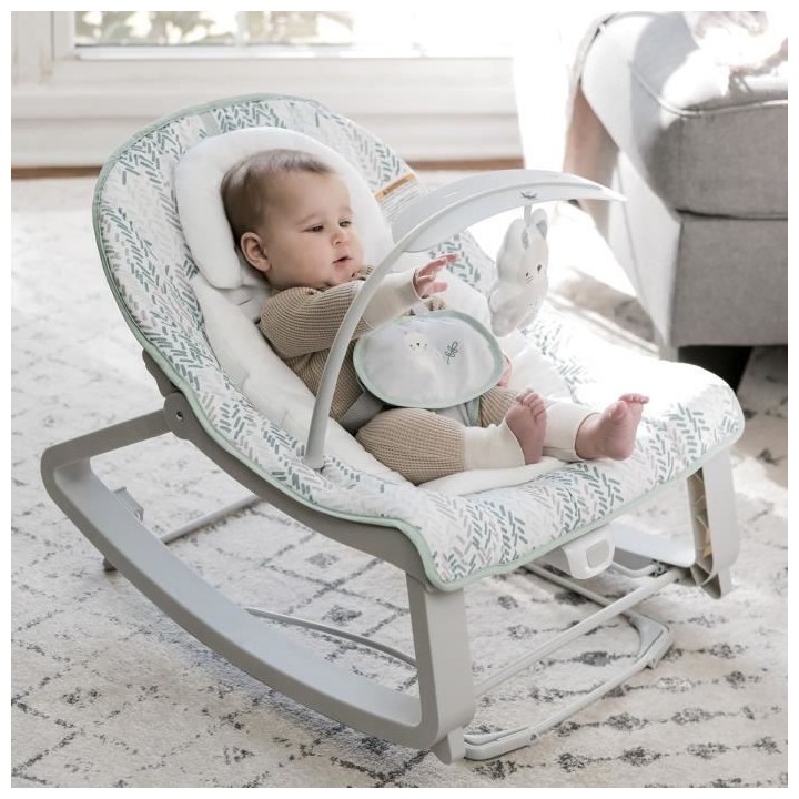 INGENUITY Transat 3-en-1 Keep Cozy - Modele Spruce