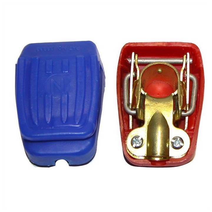 Cartec 2 Cosses Batteries a Serrage Rapide (+ et -