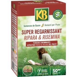 KB - Semences gazon - Super regarnisant 50m²
