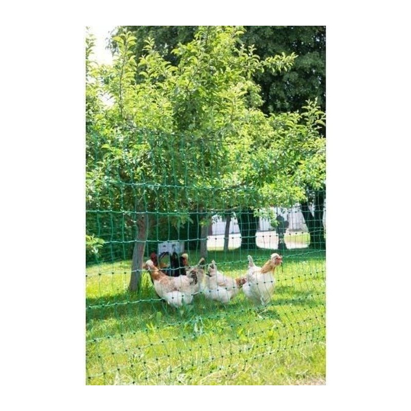 KERBL Filet pour les poules 50 m - 106 cm - double pointe - vert - non électrique