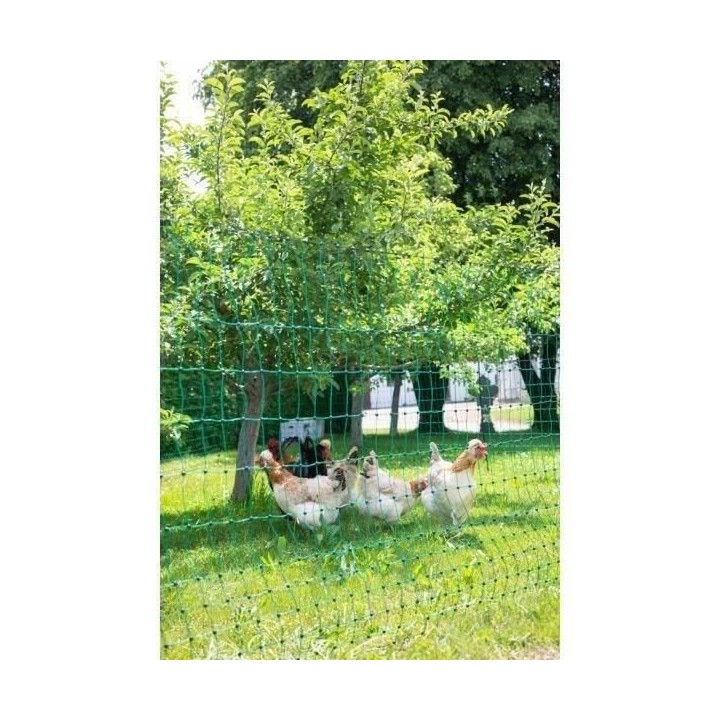 KERBL Filet pour les poules 25 m - 106 cm - double pointe - vert - non