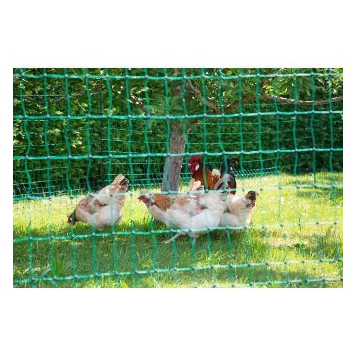 KERBL Filet pour les poules 25 m - 106 cm - double pointe - vert - non