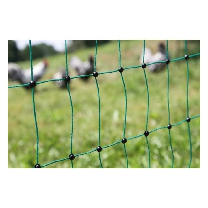 KERBL Filet pour les poules 25 m - 106 cm - double pointe - vert - non