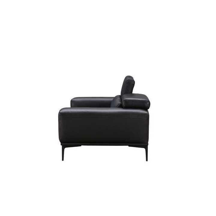 Canapé fixe 2 places JAKE - Cuir de vachette Noir- Style contemporain