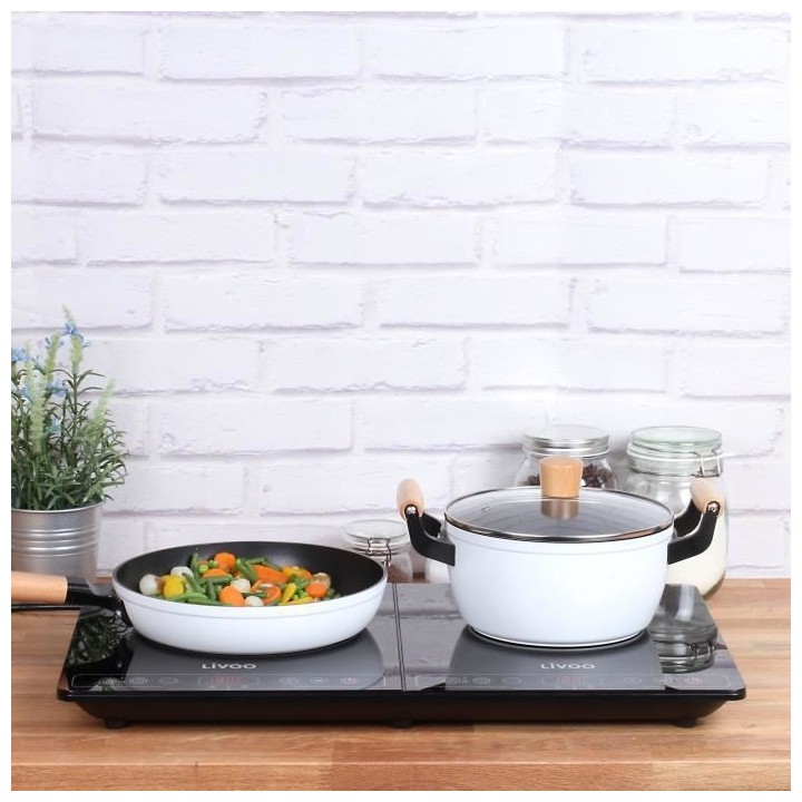 LIVOO DOC235 Plaque a induction Simple - 22cm - de 60° a 240° - Noir
