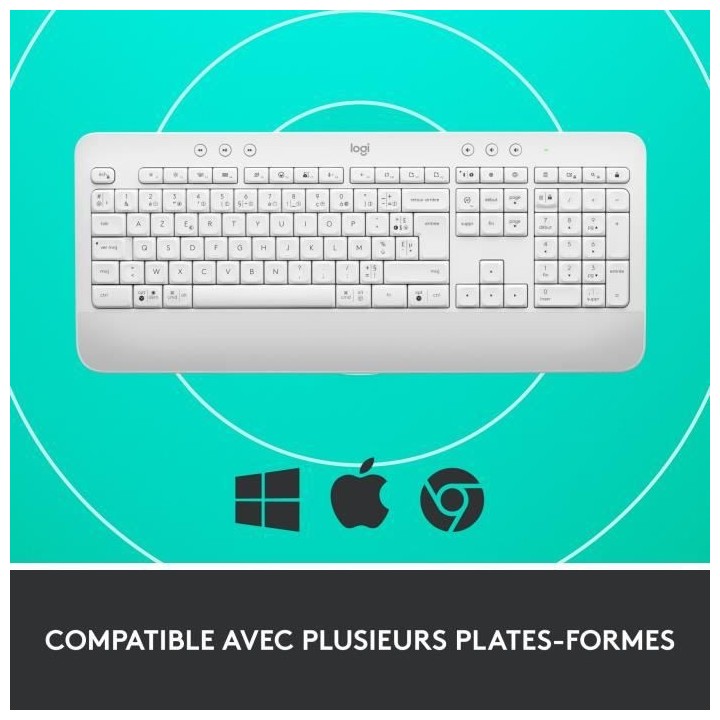 Logitech - Clavier sans fil - Ergonomique Entier avec Repose-Poignets
