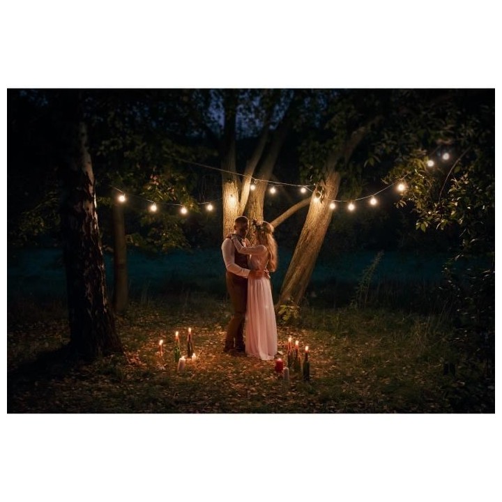 LINK ME LIGHT Guirlande lumineuse connectable - 10 ampoules - douille