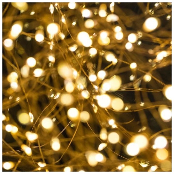 LUMI JARDIN Guirlande lumineuse Skinny Solar en cuivre - 100 micro LED