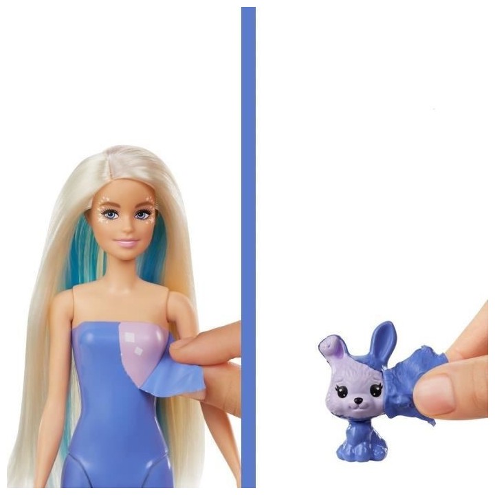 Coffret Color Reveal Fée Fantastique