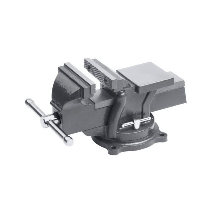 MEISTER Etau base tournable 100 mm