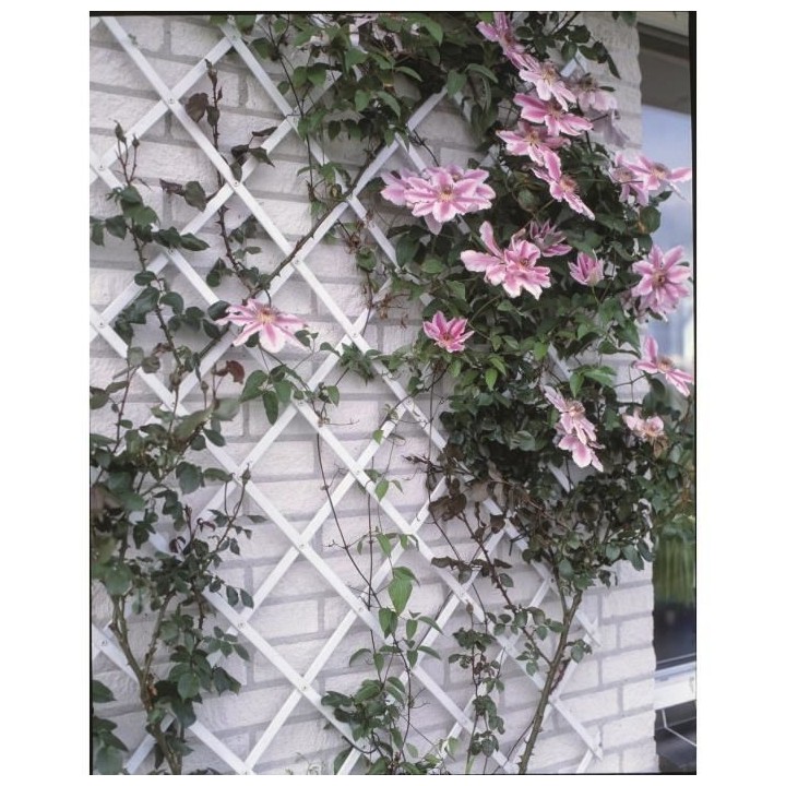 Treillis extensible plastique blanc - 50x150cm