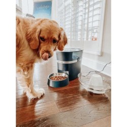 PetSafe - Distributeur de Croquettes Automatique Connecté Smart Feed pour Chien/Chat, avec minuterie, bol en acier inoxydable,