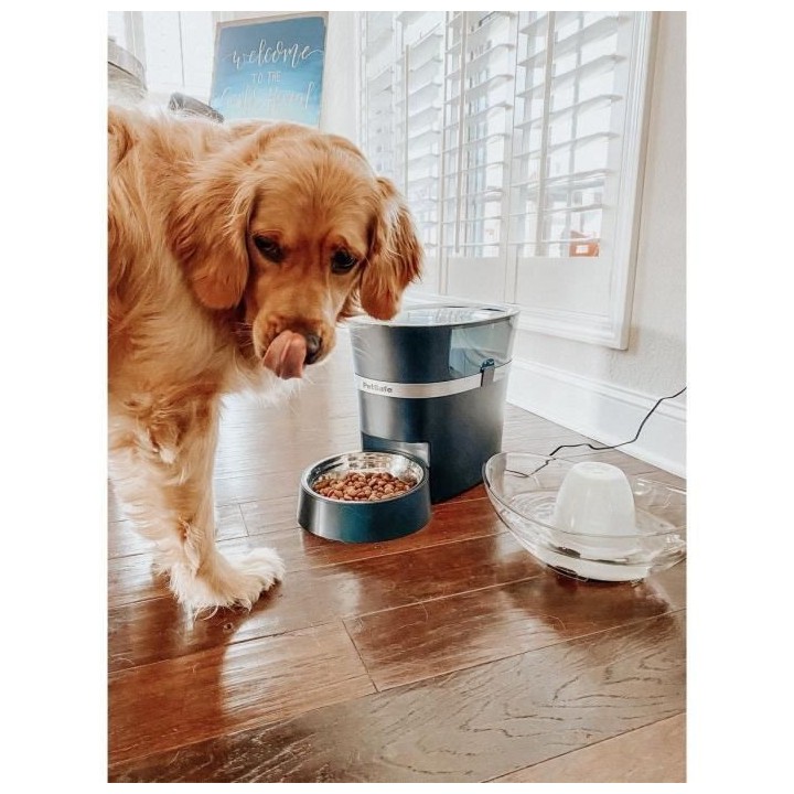 PetSafe - Distributeur de Croquettes Automatique Connecté Smart Feed