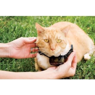 PetSafe - Collier pour chat, 4 niveaux de stimulation, léger, réglab