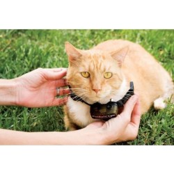 PetSafe - Collier pour...