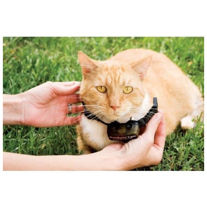 PetSafe - Collier pour chat, 4 niveaux de stimulation, léger, réglab