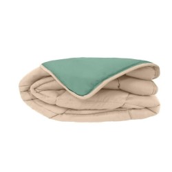 POYET MOTTE Couette Microfibre 400g/m² CALGARY - 200 x 200 cm - Gris galet et Vert lac