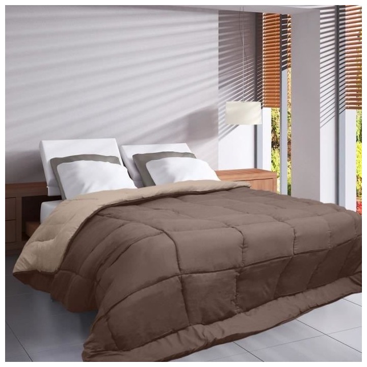 HUDSON Couette légere Microfibre 200g/m² 220x240cm Taupe & Lin