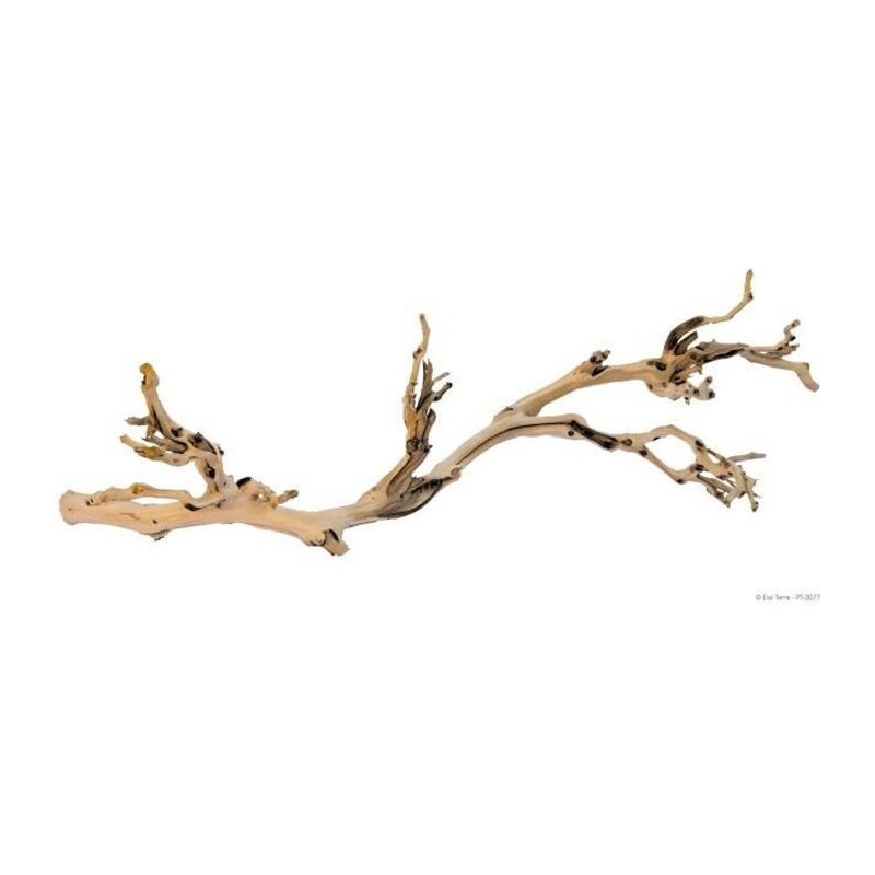 EXO TERRA Décoration Pied de vigne sablé - Grand modele - Pour terrarium