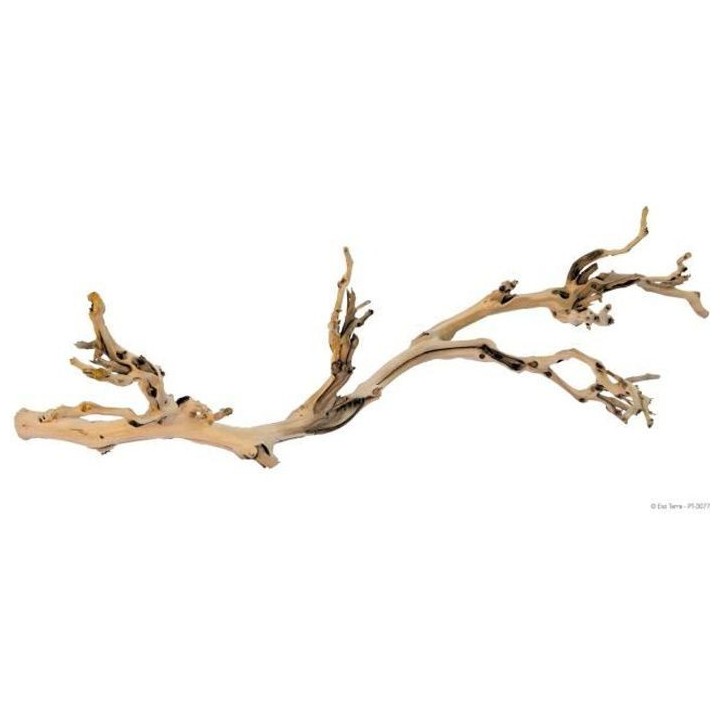 EXO TERRA Décoration Pied de vigne sablé - Grand modele - Pour terra
