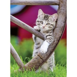 Puzzle 2x500 pieces - Les chatons a la campagne - Puzzle adultes Ravensburger - Des 10 ans - 17269