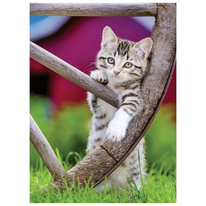 Puzzle 2x500 pieces - Les chatons a la campagne - Puzzle adultes Raven