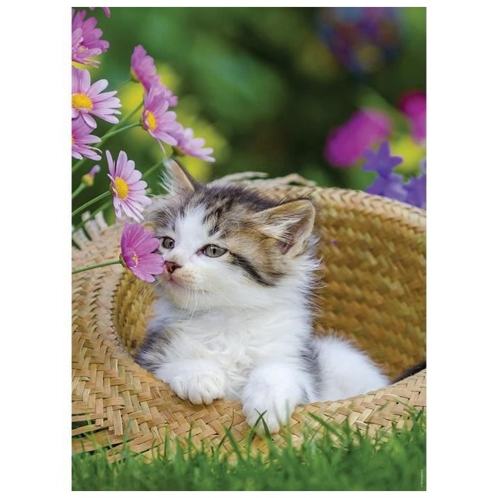 Puzzle 2x500 pieces - Les chatons a la campagne - Puzzle adultes Raven