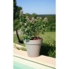 RIVIERA Pot de fleurs Soleilla - Rond - Ø 49 x 44,8 cm - 50 L -Taupe