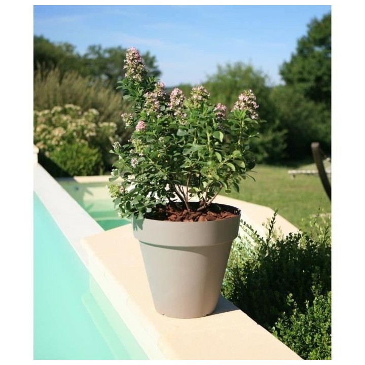 RIVIERA Pot de fleurs Soleilla - Rond - Ø 49 x 44,8 cm - 50 L -Taupe