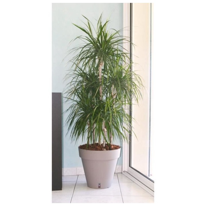 RIVIERA Pot de fleurs Loft avec réserve d'eau - Rond - Ø 60 x H 55 c