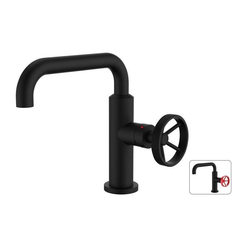 ROUSSEAU Mitigeur lavabo industriel - Bec mobile - Noir