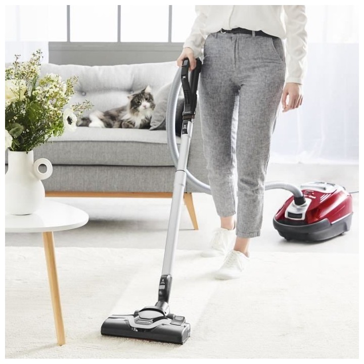 ROWENTA RO7473EA Aspirateur Traineau Sac Silence Force - Silencieux et