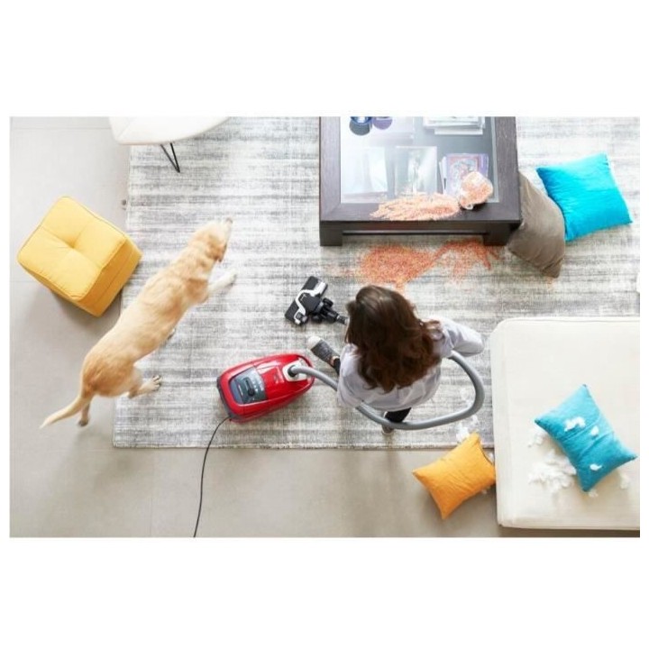 ROWENTA YY4126FH Silence Force Aspirateur avec sac, Capacité XL 4,5 L